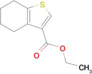 Ethyl 4,5,6,7-tetrahydro-1-benzothiophene-3-carboxylate