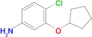 4-Chloro-3-(cyclopentyloxy)aniline