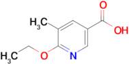 2-Ethoxy-3-methylpyridine-5-carboxylic acid