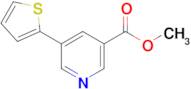 Methyl 5-(thiophen-2-yl)pyridine-3-carboxylate