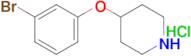 4-(3-Bromophenoxy)piperidine, HCl