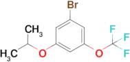 1-Bromo-3-isopropoxy-5-trifluoromethoxybenzene