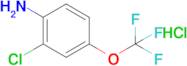 2-Chloro-4-(trifluoromethoxy)aniline, HCl