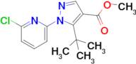 Methyl 5-tert-butyl-1-(6-chloropyridin-2-yl)pyrazole-4-carboxylate