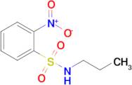 2-Nitro-N-propylbenzene-1-sulfonamide