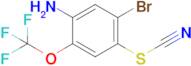 5-Bromo-4-thiocyanato-2-(trifluoromethoxy)aniline