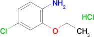 4-Chloro-2-ethoxyaniline, HCl