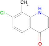 7-chloro-8-methyl-1,4-dihydroquinolin-4-one