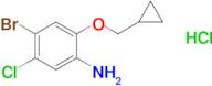 4-Bromo-5-chloro-2-(cyclopropylmethoxy)aniline HCl