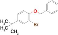 1-Benzyloxy-2-bromo-4-t-butylbenzene