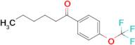 1-[4-(Trifluoromethoxy)phenyl]hexan-1-one