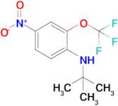 N-tert-Butyl-4-nitro-2-(trifluoromethoxy)aniline