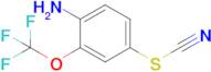 4-Thiocyanato-2-(trifluoromethoxy)aniline
