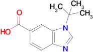 1-t-Butyl-benzoimidazole-6-carboxylic acid