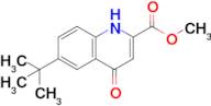 Methyl 6-(1,1-dimethylethyl)-1,4-dihydro-4-oxo-2-quinolinecarboxylate