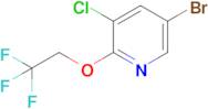 5-Bromo-3-chloro-2-(2,2,2-trifluoroethoxy)pyridine