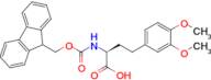 (S)-4-(3,4-Dimethoxy-phenyl)-2-(9H-fluoren-9-ylmethoxycarbonylamino)-butyric acid