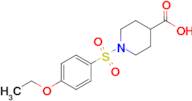 1-[(4-Ethoxybenzene)sulfonyl]piperidine-4-carboxylic acid