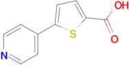 5-(Pyridin-4-yl)thiophene-2-carboxylic acid