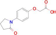 2-[4-(2-Oxopyrrolidin-1-yl)phenoxy]acetic acid