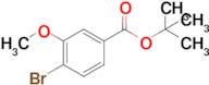 tert-Butyl 4-bromo-3-methoxybenzoate