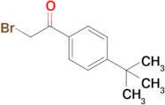 2-Bromo-1-(4-tert-butyl-phenyl)-ethanone