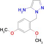 1-(2,4-Dimethoxybenzyl)-1H-pyrazol-5-amine