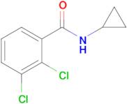 2,3-Dichloro-N-cyclopropylbenzamide