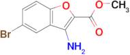 Methyl 3-amino-5-bromo-2-benzofurancarboxylate