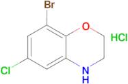 8-Bromo-6-chloro-3,4-dihydro-2h-1,4-benzoxazine hydrochloride