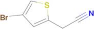 2-(4-Bromothiophen-2-yl)acetonitrile