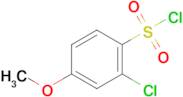 2-Chloro-4-methoxybenzene-1-sulfonyl chloride