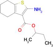 Butan-2-yl 2-amino-4,5,6,7-tetrahydro-1-benzothiophene-3-carboxylate