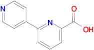 6-(Pyridin-4-yl)pyridine-2-carboxylic acid