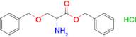 Benzyl 2-amino-3-(benzyloxy)propanoate hydrochloride