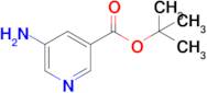 tert-Butyl 5-aminopyridine-3-carboxylate