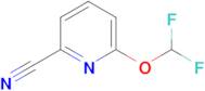 6-(Difluoromethoxy)pyridine-2-carbonitrile