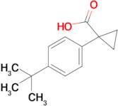 1-(4-tert-Butylphenyl)cyclopropane-1-carboxylic acid