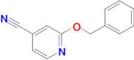 2-(Benzyloxy)pyridine-4-carbonitrile