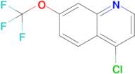 4-Chloro-7-(trifluoromethoxy)quinoline