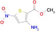 Methyl 3-amino-5-nitrothiophene-2-carboxylate