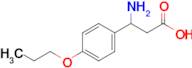 3-Amino-3-(4-propoxyphenyl)propanoic acid