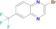 2-Bromo-6-(trifluoromethyl)quinoxaline