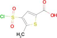 4-(Chlorosulfonyl)-5-methylthiophene-2-carboxylic acid