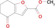 Methyl 4-oxo-4,5,6,7-tetrahydro-1-benzofuran-2-carboxylate