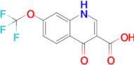 4-oxo-7-(trifluoromethoxy)-1,4-dihydroquinoline-3-carboxylic acid