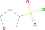 Oxolane-3-sulfonyl chloride