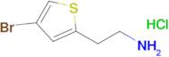 2-(4-Bromothiophen-2-yl)ethan-1-amine hydrochloride