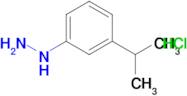 [3-(propan-2-yl)phenyl]hydrazine hydrochloride