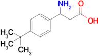 3-Amino-3-(4-tert-Butylphenyl)propanoic acid